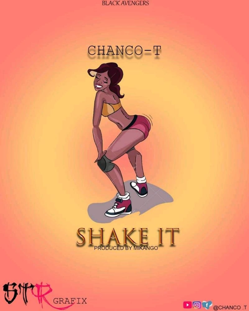 Chanco T-Shake It